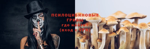 ALPHA-PVP Гусиноозёрск