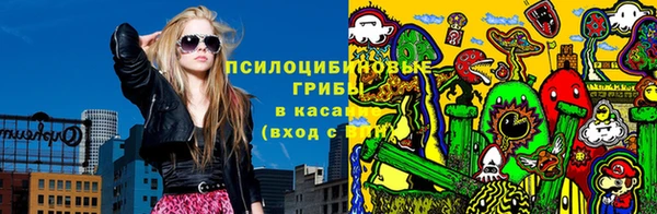 кокс Белокуриха