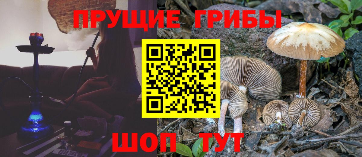 Вязьма  Псилоцибиновые грибы мухоморы  Вход с VPN  Псилоцибиновые грибы мухоморы 